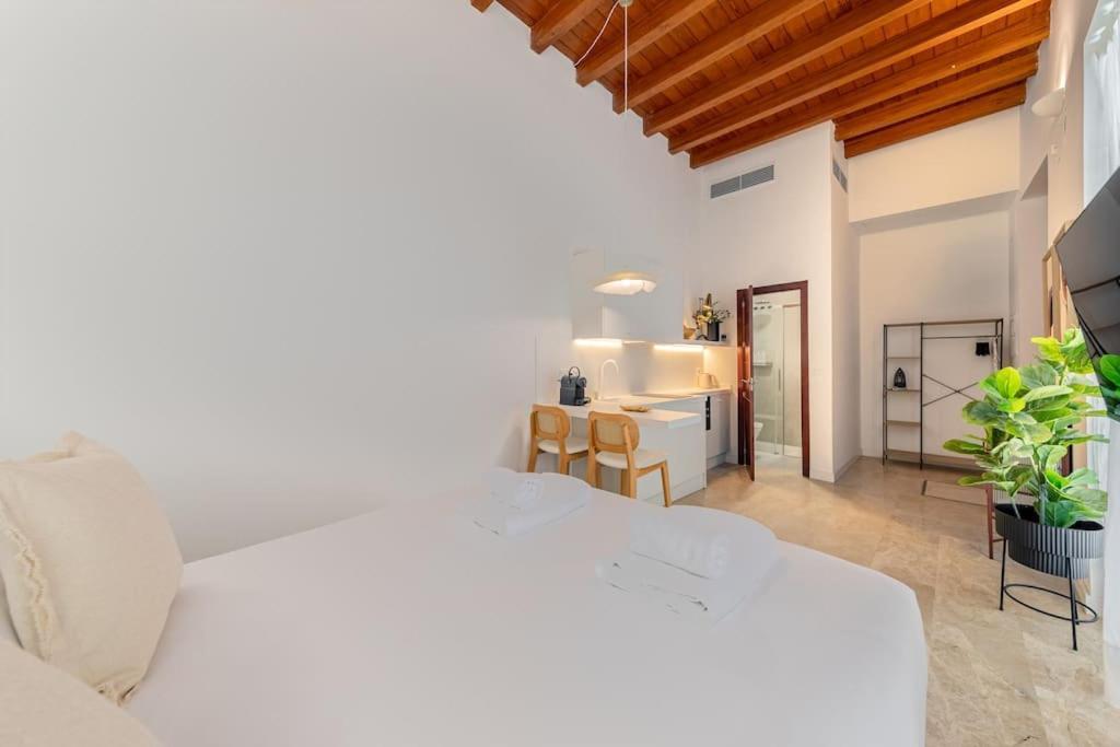 Apartamento Isg Puerta Jerez 02