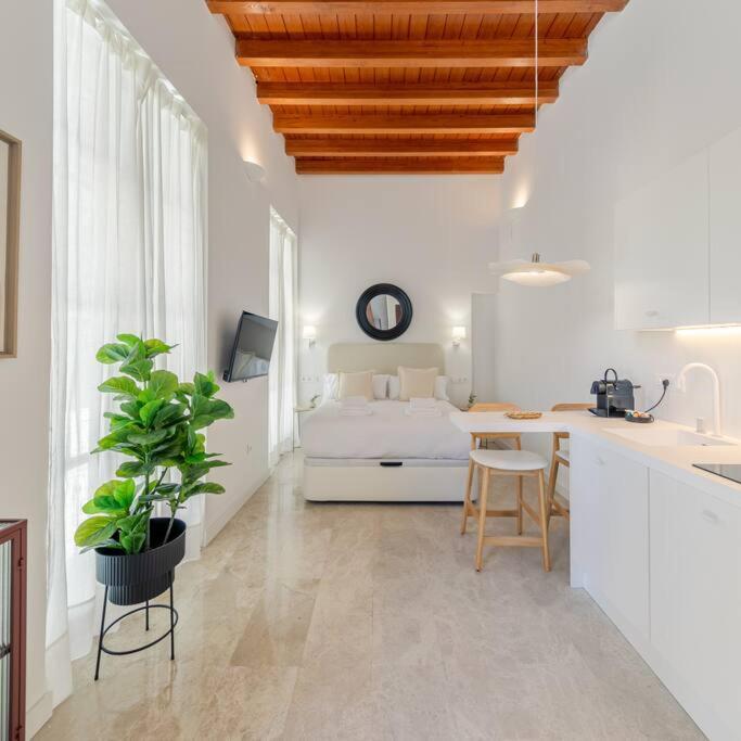 Isg Puerta Jerez 02 Apartamento